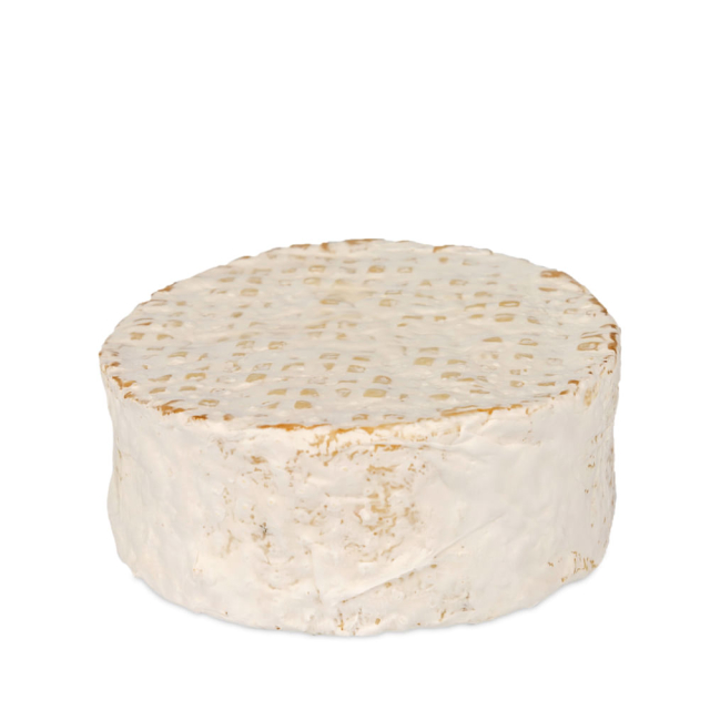 Imagem do produto - Miniatura 1